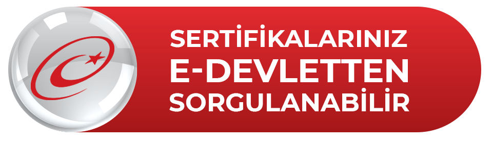 E-Devlet